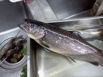 20110607-img00060.jpg 20110607-img00060.jpg