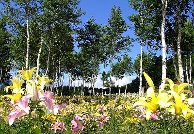 20110716-__________1.jpg 20110716-__________1.jpg