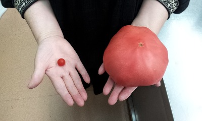 20110827-2011-08-26_14_17_33.jpg 20110827-2011-08-26_14_17_33.jpg