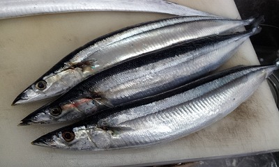 20110909-2011-08-30_10_54_15.jpg 20110909-2011-08-30_10_54_15.jpg