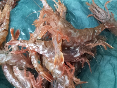 20120517-2012-05-17_17_11_15.jpg