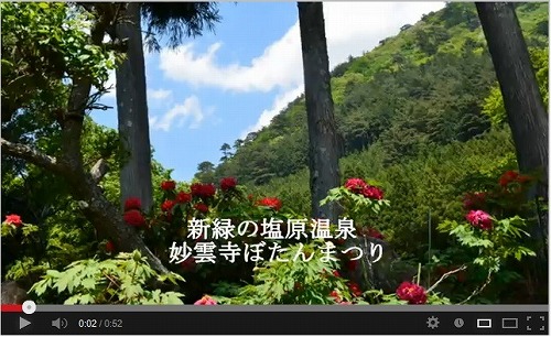 20130504-______.jpg 20130504-______.jpg