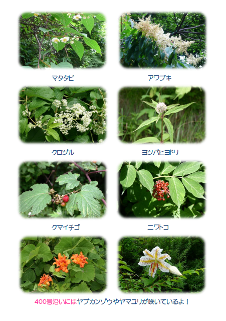 20110723-10__3_.png