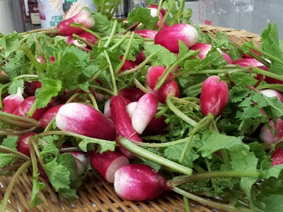 20120701-2012-07-01_15_01_04.jpg